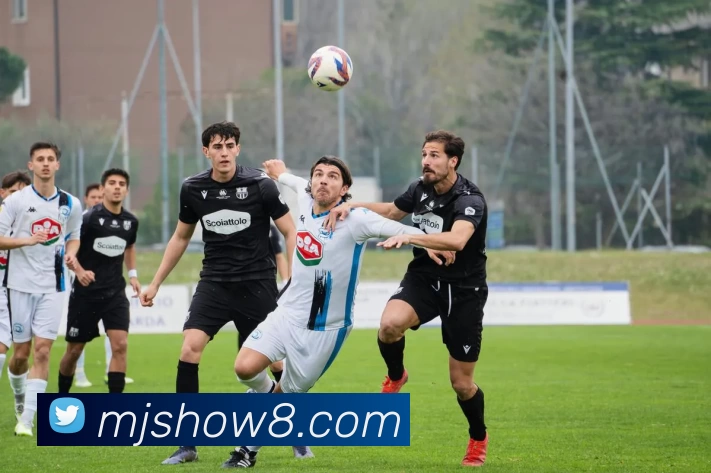 多媒体互动体验